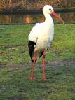 Hebamme Susanne Gehlen Rastede Ammerland